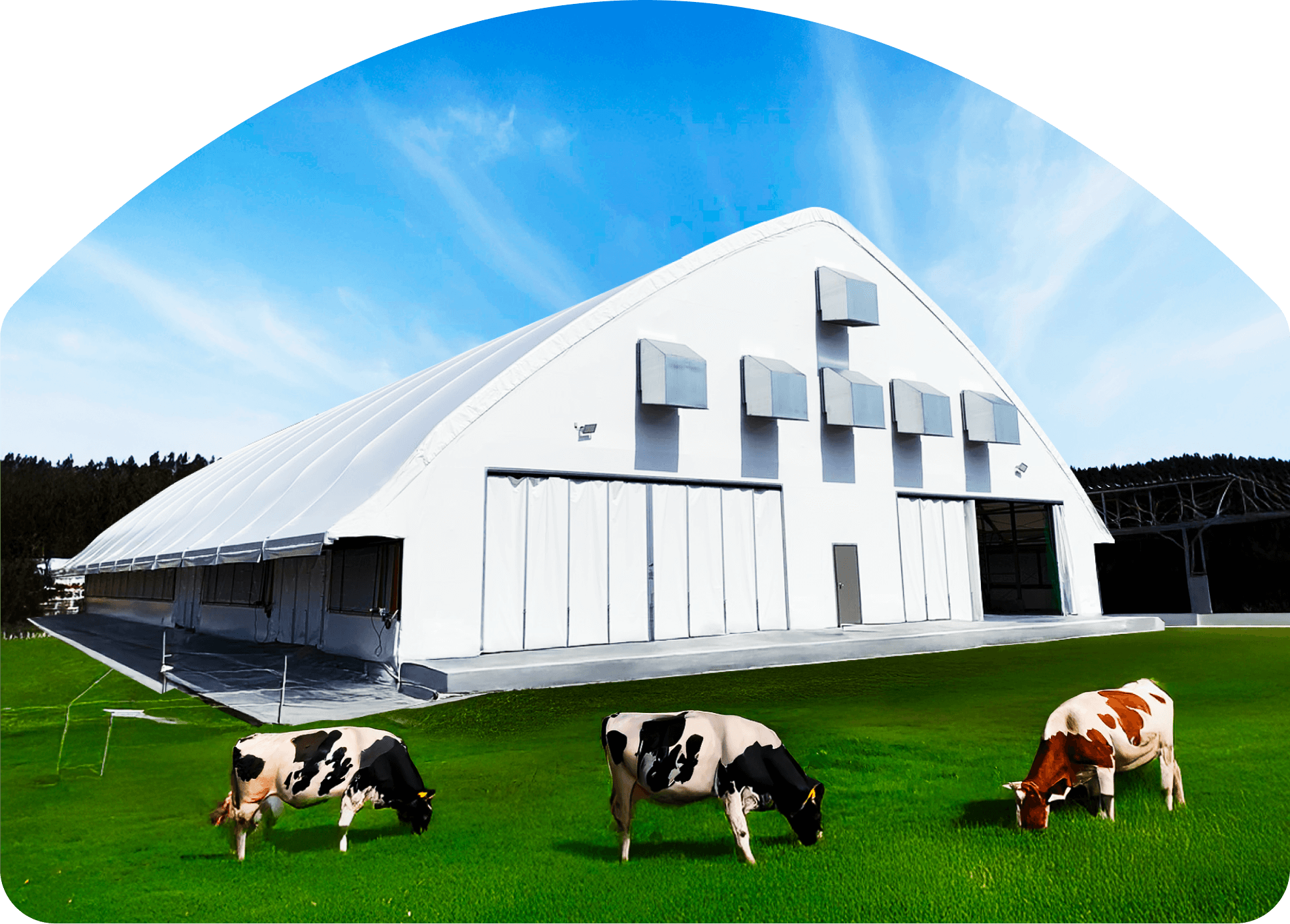 TASCO DOME (タスコドーム)